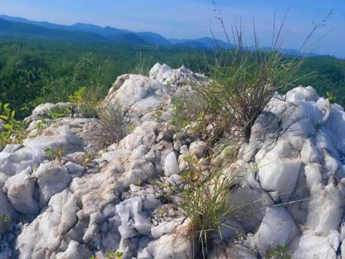 1766662259136542.jpg 图片1_副本.jpg