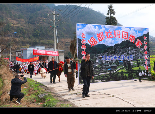 1771766406208483.jpg 姑妈姑父牵牛拉猪回娘家.jpg