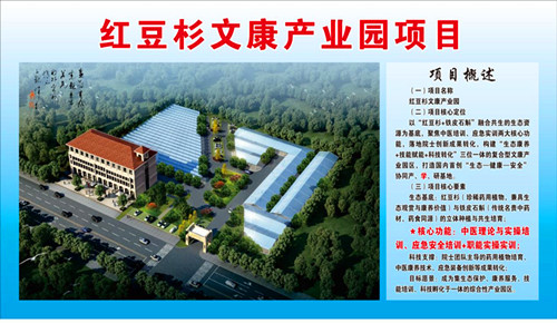 1774180746124737.jpg 图片1.jpg