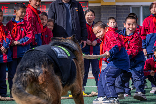 图为警犬与学生拔河互动画面2.jpg